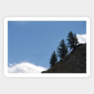 Fir Trees on Mountain Slope Alpine Alps White Cloud Sticker